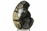 Septarian Dragon Egg Geode - Black & Brown Crystals #183126-3